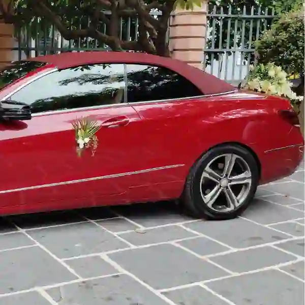Benz E-Class Convertible Car 