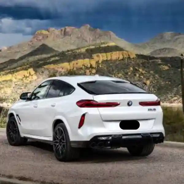 BMW X6 Car